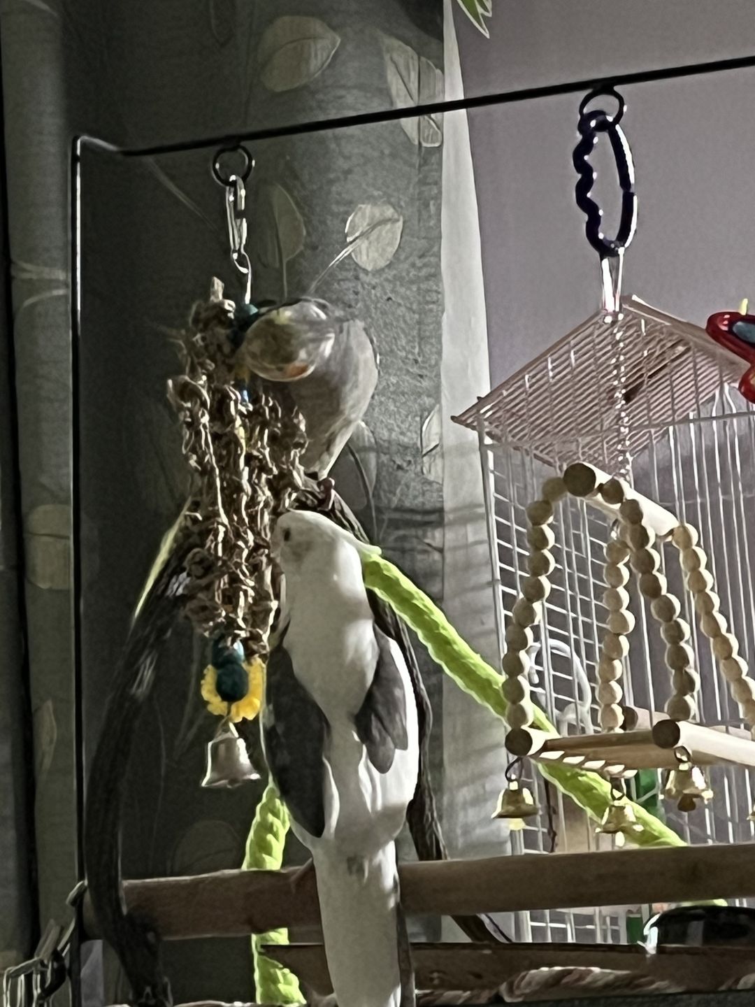 Woven Grid Hanging Foraging Toy with Colorful Bead & Bell Details