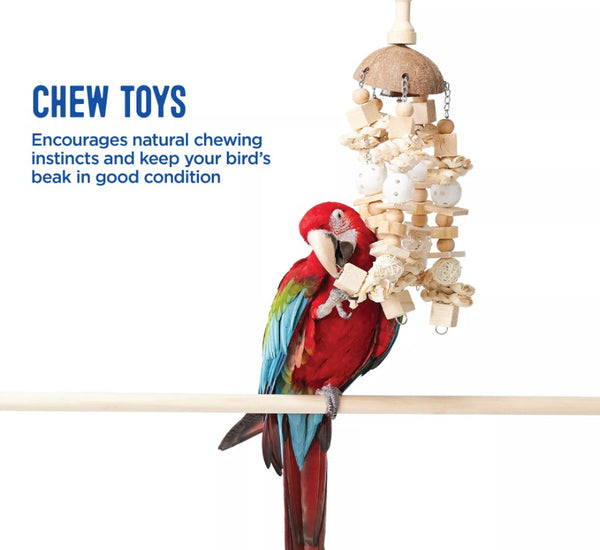 Coconut-Capped Multi-Textured Hanging Gnawing Play Ornament for Pet Birds Reptile Pet