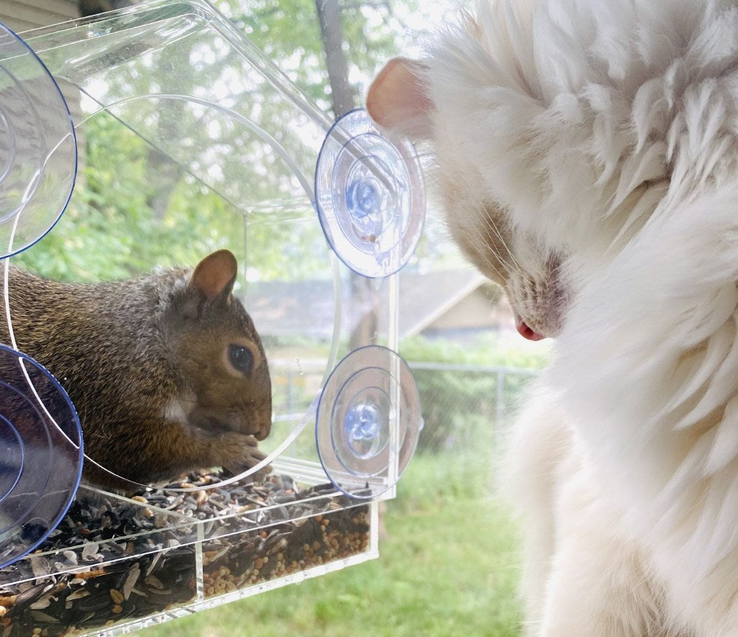 Suction Mount Window Feeding House for Outdoor Wild Small Pets
