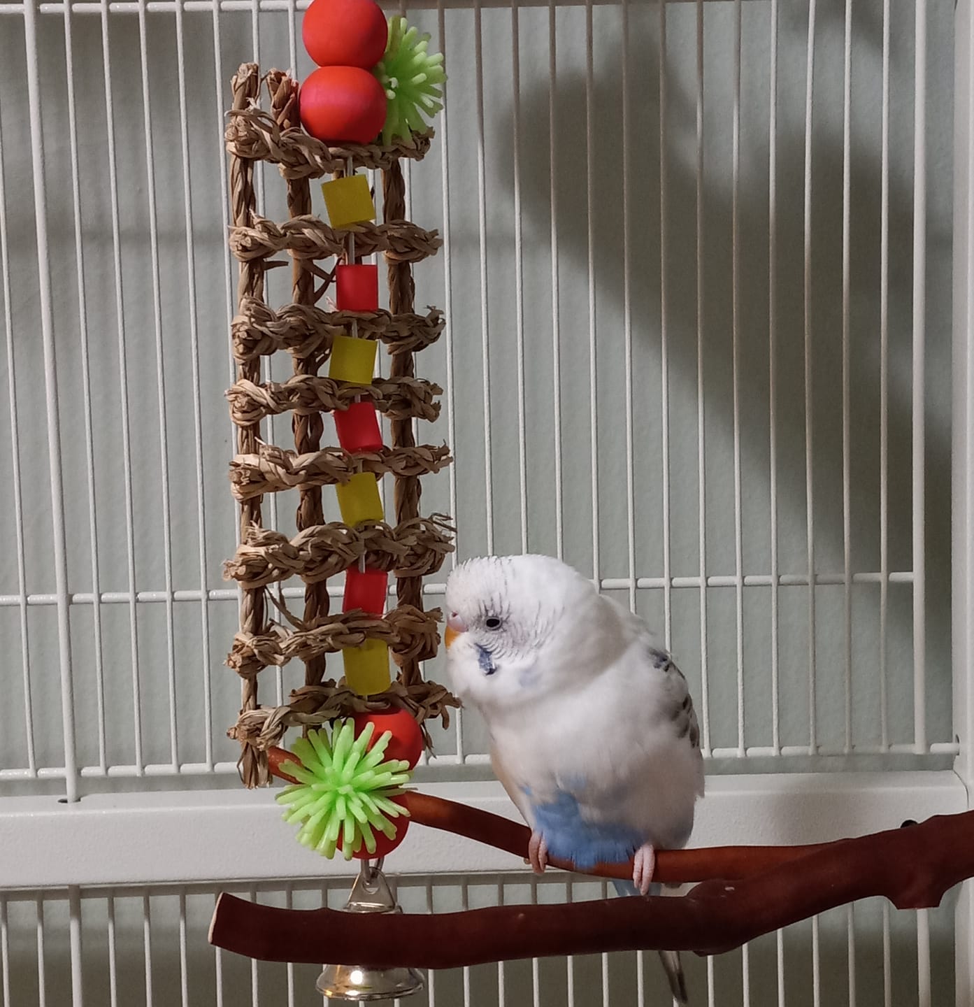 Woven Grid Hanging Foraging Toy with Colorful Bead & Bell Details