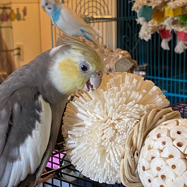 Triple Stack Natural Sphere & Fluff Ball Hanging Bird Play Toy